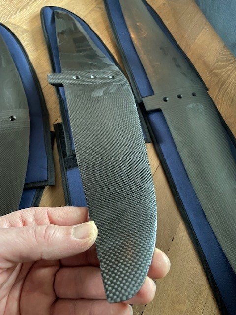 wing 4.jpg