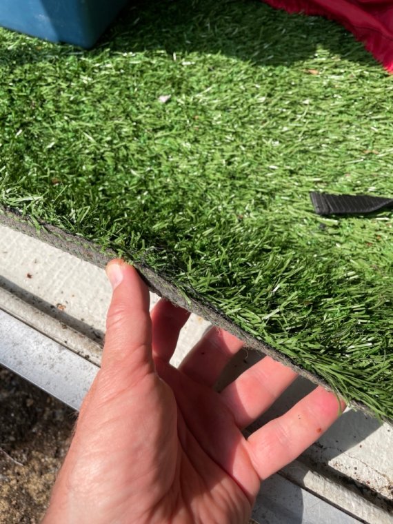 IMG_4196 Grande.jpeg